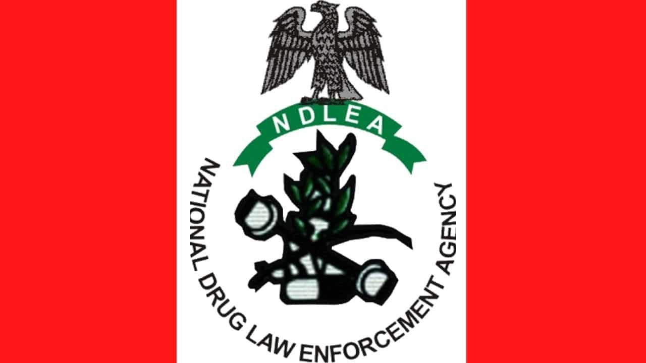 NDLEA Logo Contest: National Drugs Law Enforcement Agency Logo Design  Contest 2022 - MyscholarshipNG